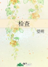 检查