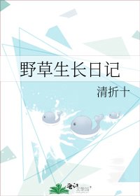 野草生长日记